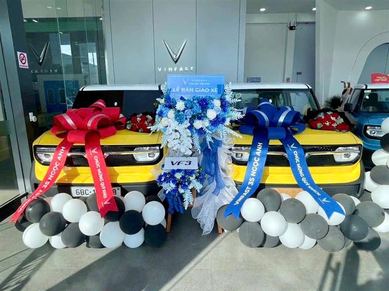 VinFast 3S Ngọc Anh Kiên Giang